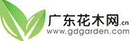 广东花木网