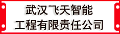 武汉飞天智能工程有限责任公司