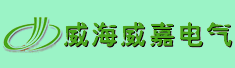 威海威嘉电气有限责任公司