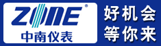 中国中南仪表有限公司