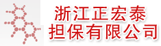 浙江正宏泰担保有限公司