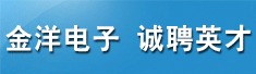 深圳市金洋电子股份有限公司