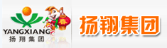 扬翔集团