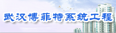 武汉博菲特系统工程有限公司