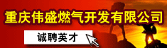 重庆伟盛燃气开发有限公司