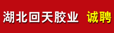 湖北回天胶业股份有限公司