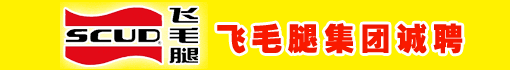 飞毛腿集团