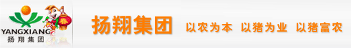 扬翔集团