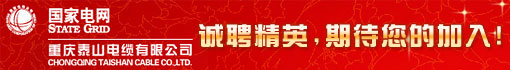 重庆泰山电缆有限公司