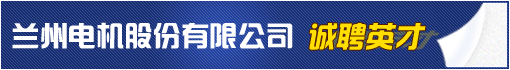 兰州电机厂有限公司