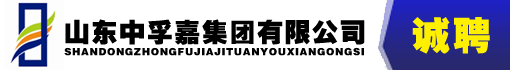 山东中孚嘉集团有限公司