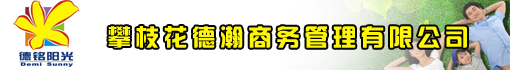 攀枝花德瀚商务管理有限公司