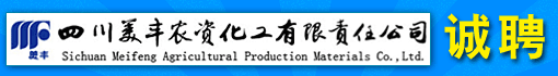 四川美丰农资化工有限责任公司