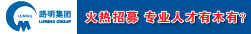 路明科技集团有限公司